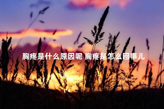 胸疼是什么原因呢 胸疼是怎么回事儿